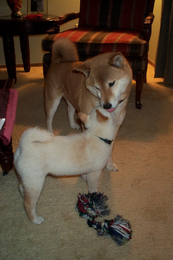 史上最震撼的“曾经的冠军”逆袭记,韩国纪录片逆袭冠军